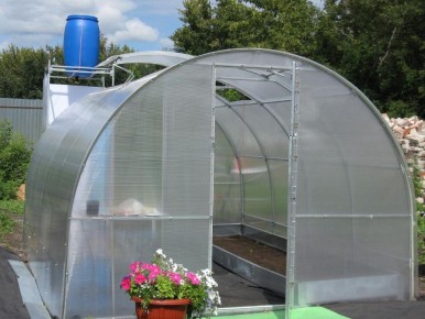 ��� ����������� ������ ������� ���� �� �������