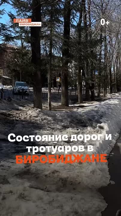 Как Биробиджан встречает весну?