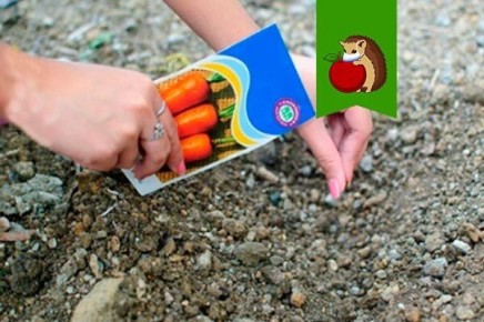 ����� ����� ����� ������ ������� � ���? ������ ������� ������