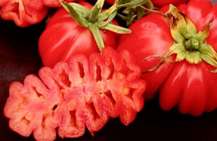 ������ ��������: ������������ ������� ��� ��������� ��������