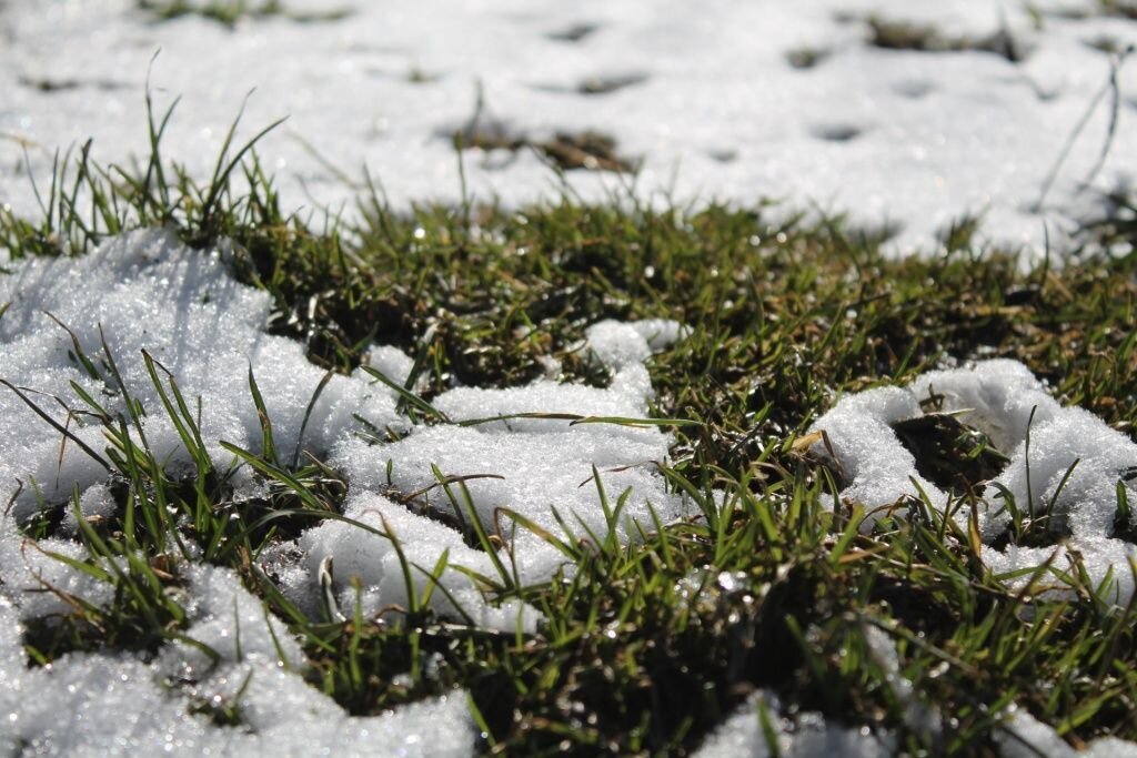 Как правильно подготовить газон к зиме: основные правила и советы