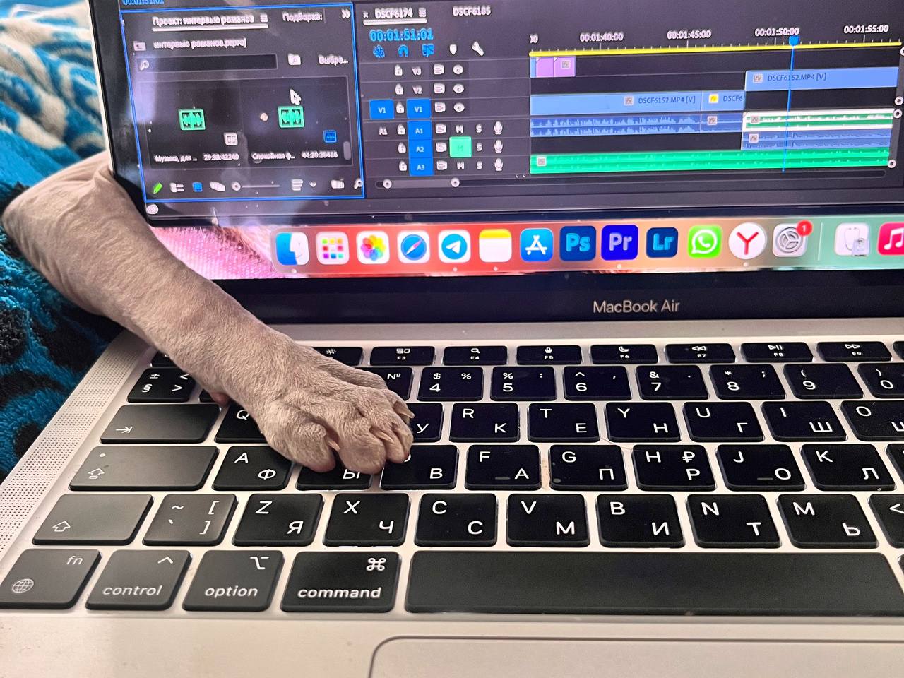 Каждый второй биробиджанец работает не по специальности