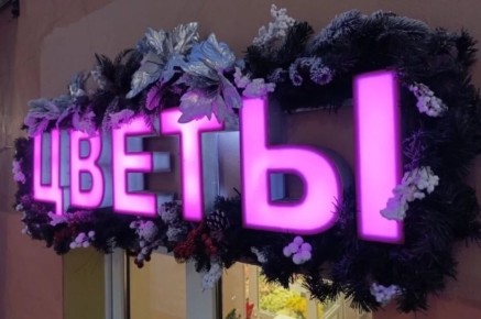 ����� ������ ������: ��� ������� �������� � ���� � ����� 2026 ����