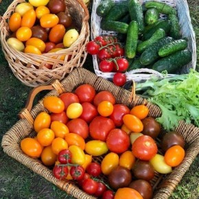 ������: ������������ ������ � �� �����