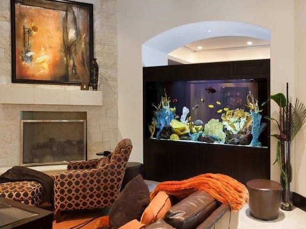 Как выбрать идеальный аквариум для дома: все, что нужно знать