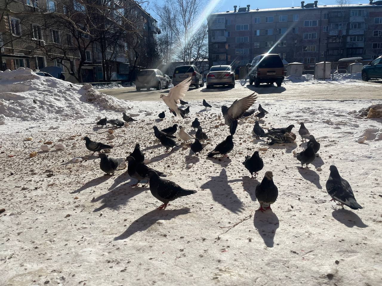 23 марта: Прогноз погоды и советы астрологов