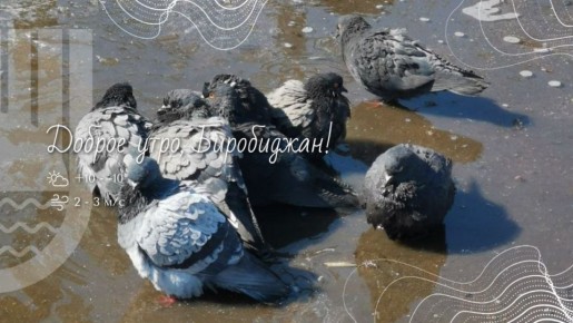 �����, ����������!. ����� ������ �� ������ � ���������, � ������ � ��� � ������ �������: ����� ��������� �������, ���� ��� ������� �� ����, � ������� ����� ����� �����