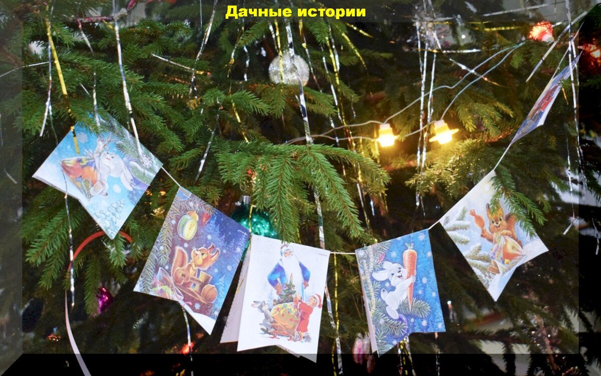 Как продлить жизнь новогодней елки: проверенный метод, которому больше полвека