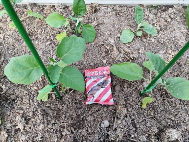 ����������� �������� ������ ��������: ����� ������� ��� ���������