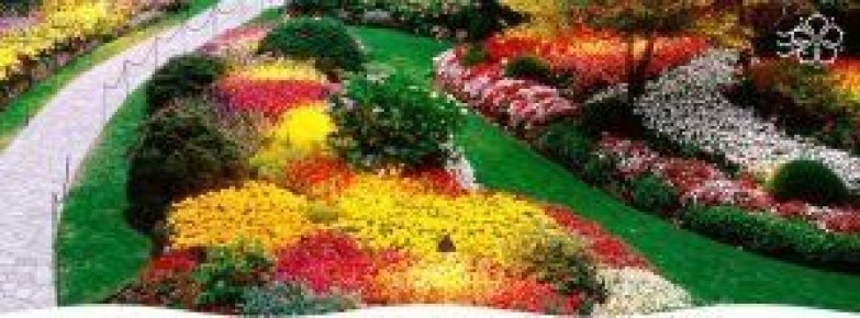 ����� � ������� ������������� � �������-��������