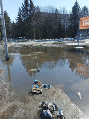 �������� ����������. ��� ����� ���� �������� ��������� �����������? ����� ������, ��������� ������� ����� ������� ��������������� ����