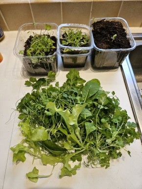 ��� ���������� �� ��������: ��������� ������ �������� ������