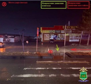 Пешеход погиб в ДТП: полиция разыскивает виновника ДТП в Биробиджане