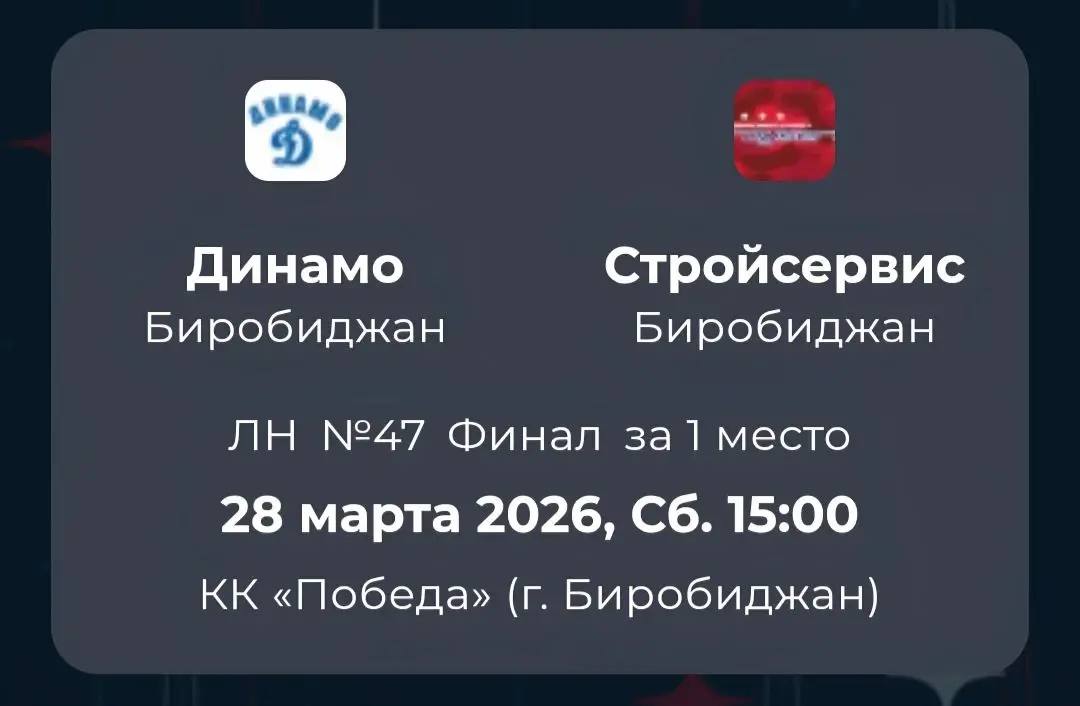 Финал Ночной хоккейной лиги пройдет в Биробиджане (6+)