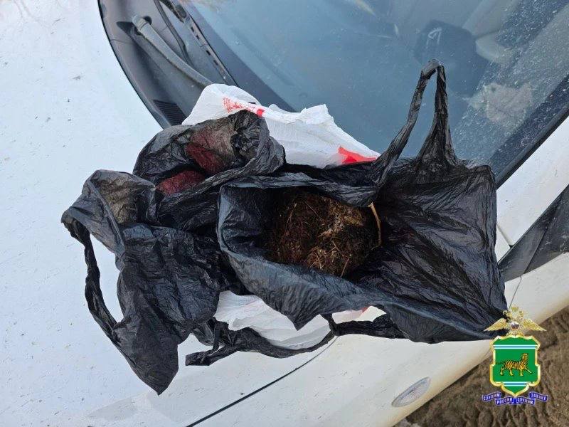 В ЕАО женщина попыталась скрыть от полиции 400 граммов марихуаны, притворившись беременной В ЕАО женщина попыталась скрыть от полиции 400 граммов марихуаны, притворившись беременной