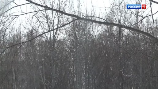 «И сердцем и строкой…». Виктор Антонов