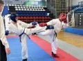 Бронзовые медали завоевала сборная ЕАО по тхэквондо на дальневосточном турнире