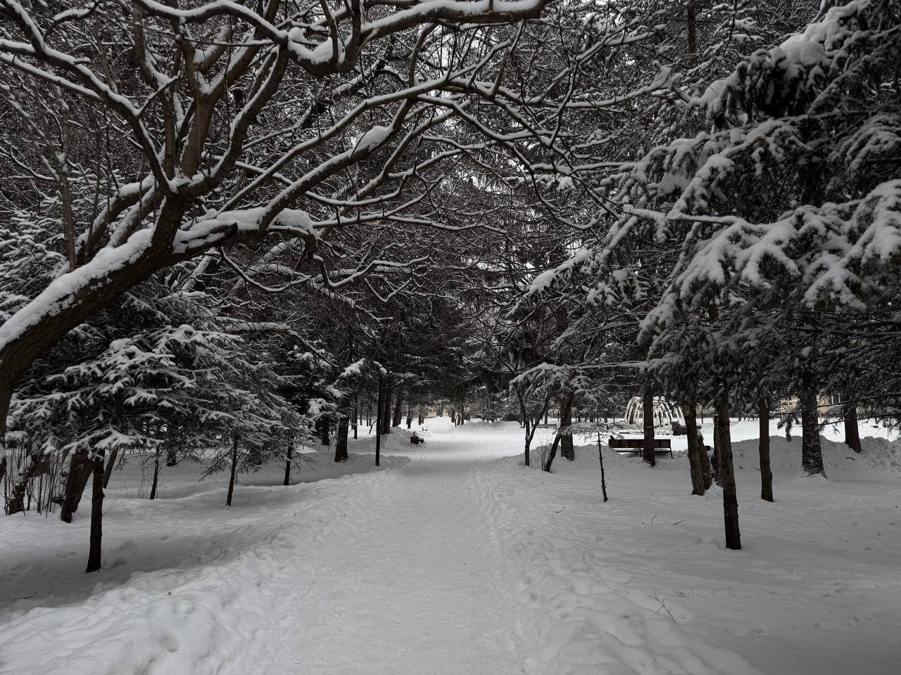 Доброе утро, хотя можно еще поспать!