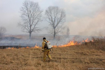 ������������� ����� ������� �� ���������� ���