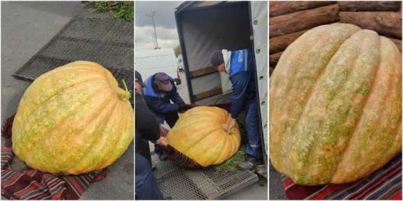 � ������ ��������� �����-������ ����� 230 �����������