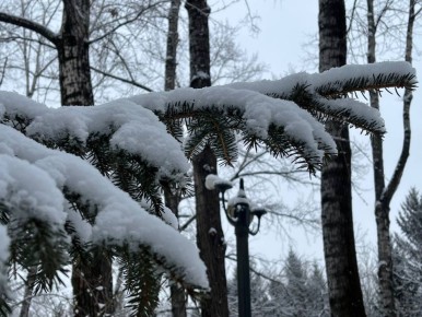 31 �����: ������� ������ � ������ ����������