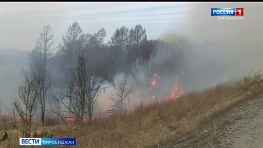 Два крупных очага возгорания зафиксированы на территории государственного лесного фонда в Октябрьском районе