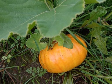 ��� ��������� ����������� ������ ��� �����: ������� ��������� ������