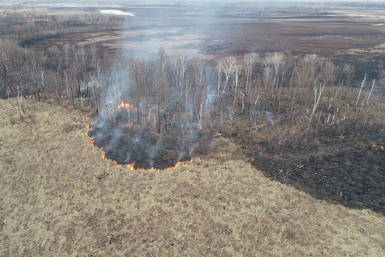 Режим муниципальных ЧС в лесах ввели в Облученском районе ЕАО