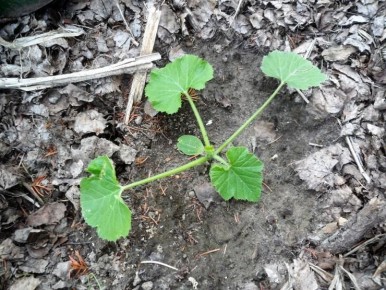 ������ �����: ��� ������� ��������� ����� ��� ������ ������