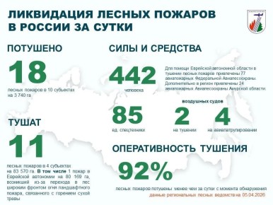 За прошедшие сутки в России потушено 18 лесных пожаров в 10 регионах