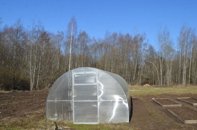 Эффективная подготовка почвы в теплице: секреты успешного урожая