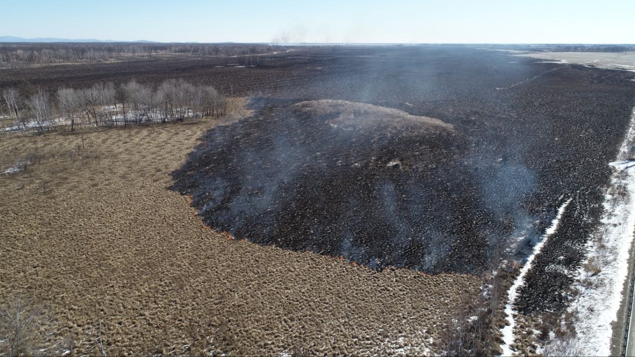 В ЕАО продолжается борьба с лесными пожарами