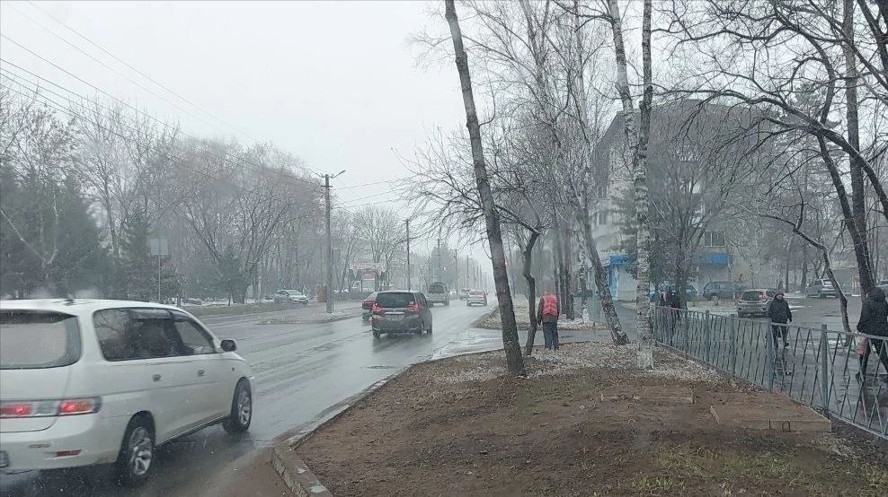 Коммунальные службы продолжают работу по наведению порядка в Биробиджане Коммунальные службы продолжают работу по наведению порядка в Биробиджане