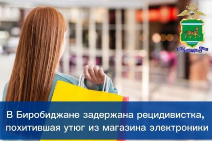 В Биробиджане задержана рецидивистка, похитившая утюг из магазина электроники