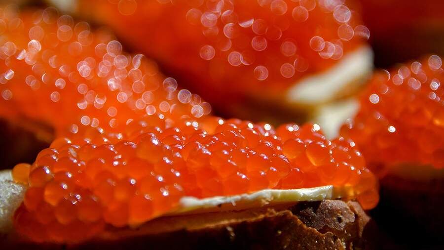 Секреты хранения красной икры: что необходимо знать