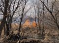 С 3 апреля в Биробиджане введён особый противопожарный режим