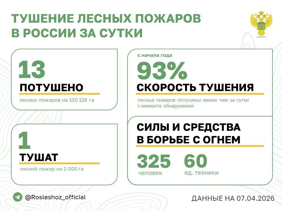 �� ��������� ����� � 5 �������� ������ �������� 13 ������ �������