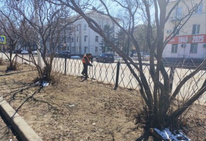 ������ ����������� �������� � �������� ������