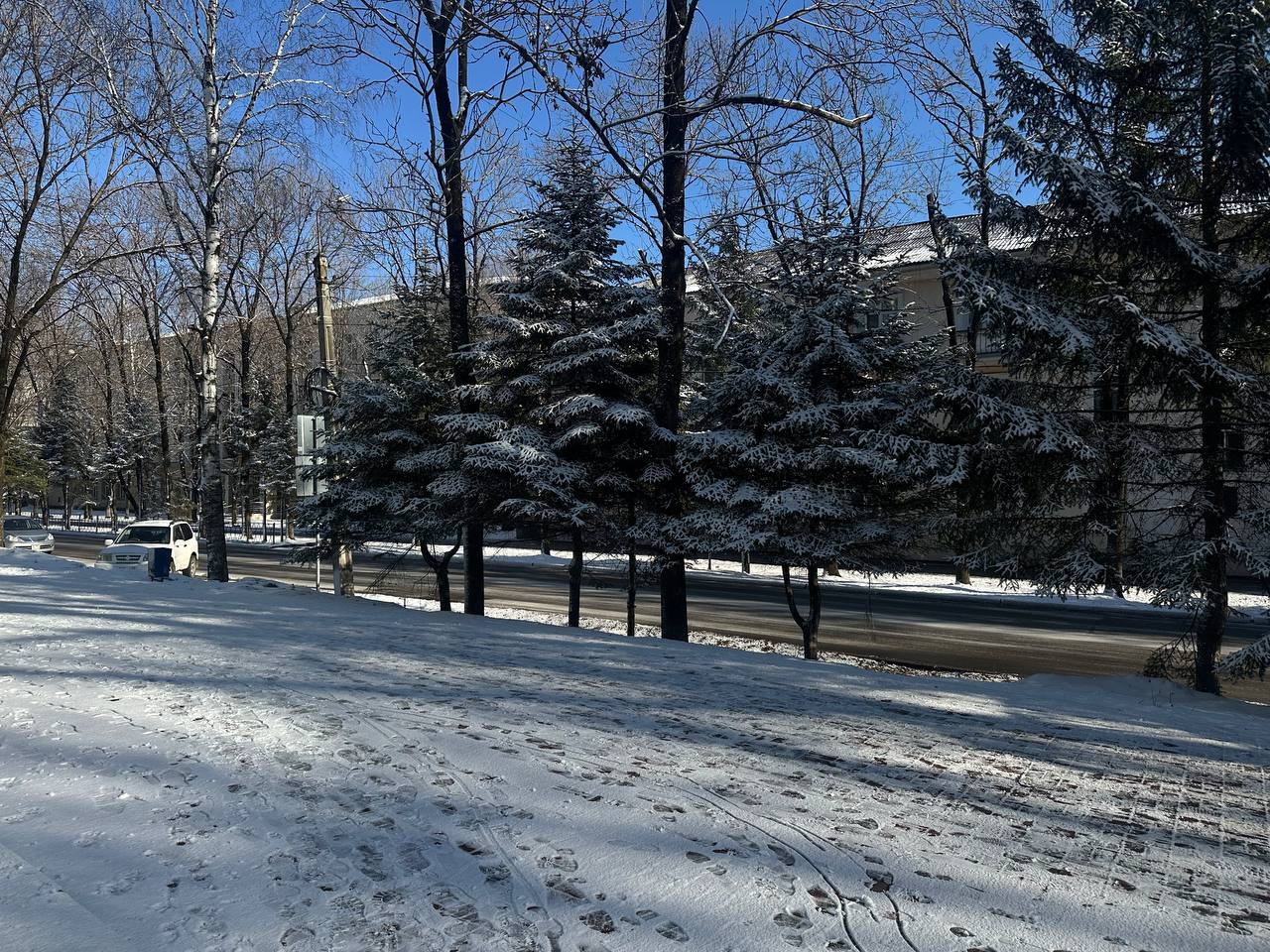 Доброе утро, подписчики ЛАЙВ Биробиджан!