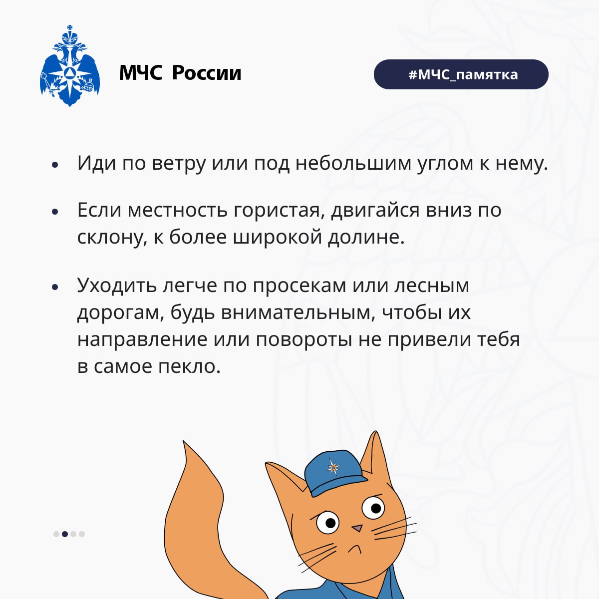 Что делать, если вы попали в лесной пожар? Что делать, если вы попали в лесной пожар?