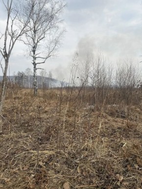 ������������ �������� ������������ � ������ ��������