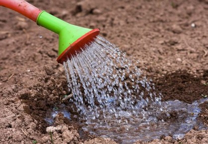 ����������� ������ ������� �� ���������: ������� ������ ��� �������� ���������