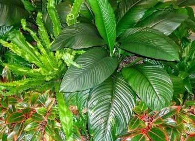 ��� ������, ��� ����� ��������� ����� ������: ������ �� ����� �� ��������