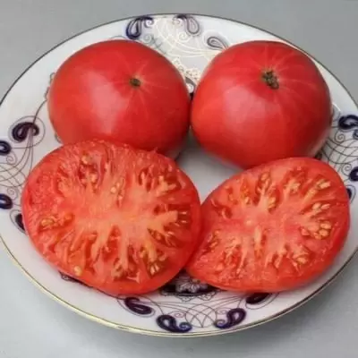 Сорт томатов Соловей-Разбойник: идеальный выбор для сложных климатов