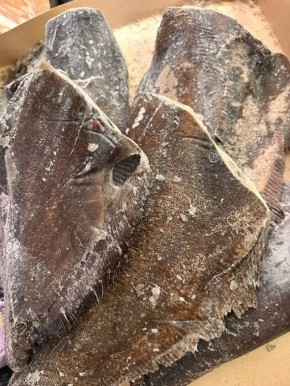 Палтус синекорый: как выбрать рыбу, которая держит форму