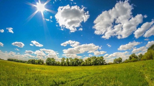 ��� �������� �������� �� ��������������� ����