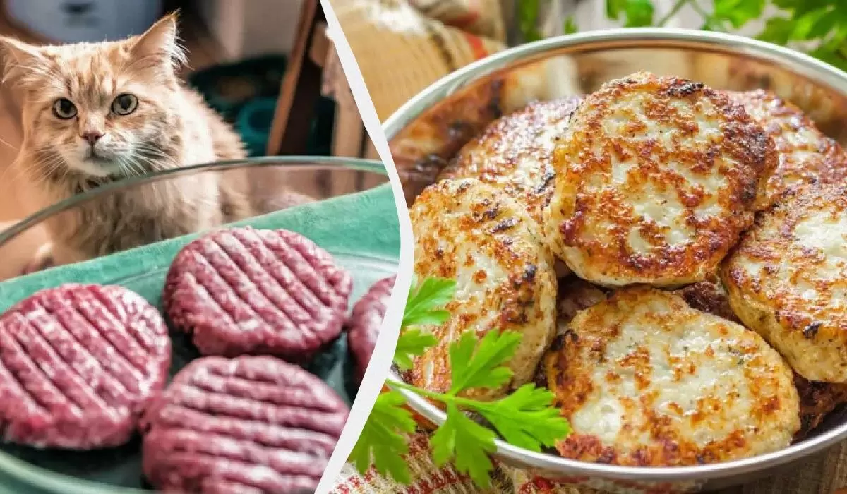 Как приготовить в два раза больше котлет без лишних ингредиентов