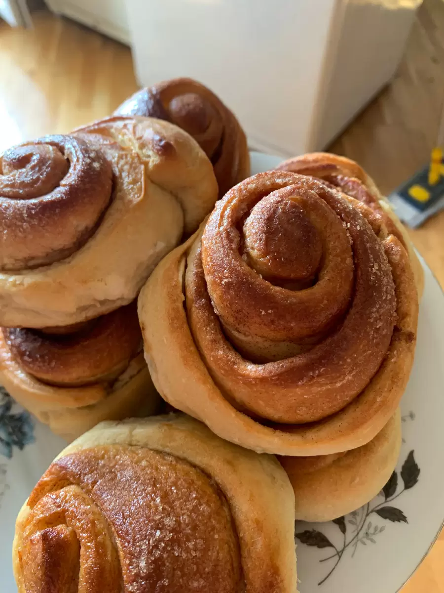 Как быстро вернуть блеск духовке: простые советы для занятых хозяек