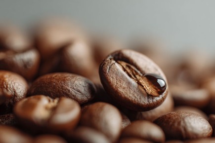 ��� ���� ����� ���� ����� �������� ��� ����: ������ ���������������� �������