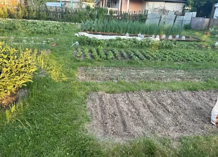 Как преобразить землю на дачном участке и увеличить урожай